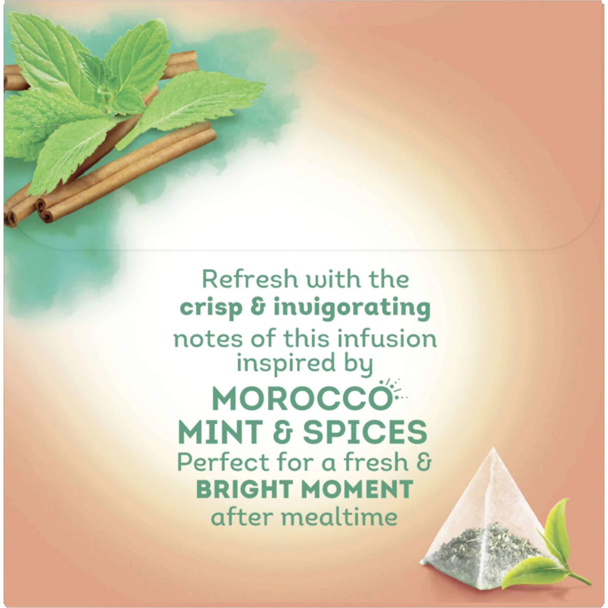 Infusão Especiarias de Marrocos Pyramid Saquetas - Image 2